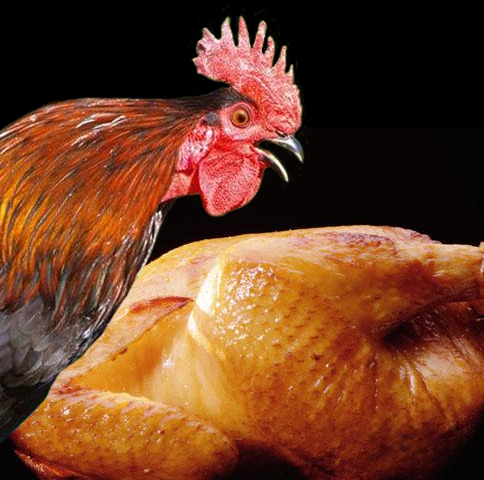 Photoshop Design by sofizz for DesignCrowd (Community Contests) | Design #9086991