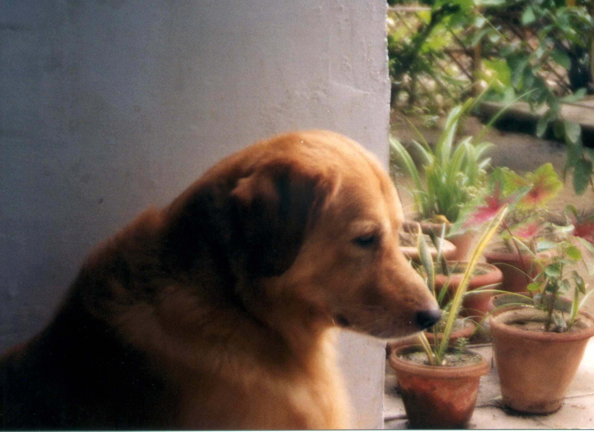 Fotografía por vgmn1956 para DesignCrowd (Community Contests) | Diseño #9087160