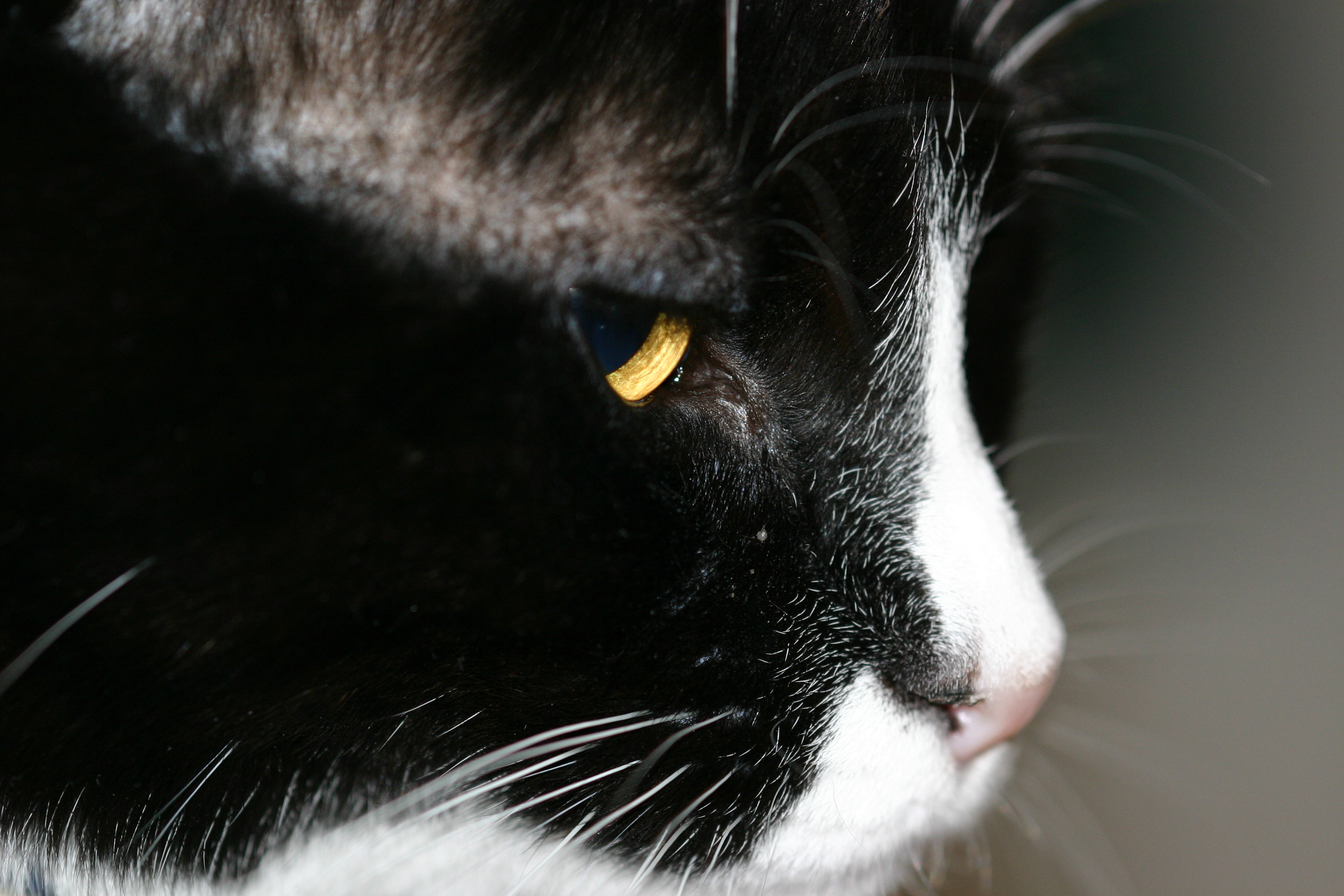 Photography by jiwasz for DesignCrowd (Community Contests) | Design #9087284