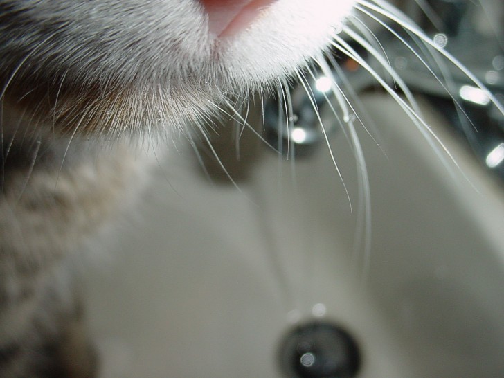 Photographie par srekcus pour DesignCrowd (Community Contests) | Design #9087365