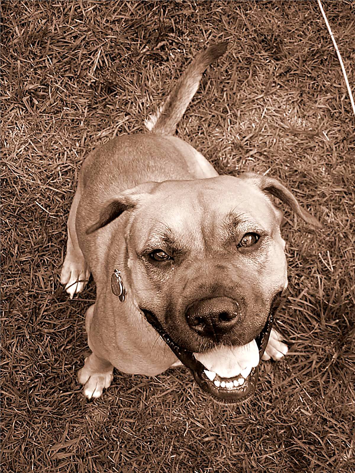 Photography by moxieshark for DesignCrowd (Community Contests) | Design #9087325