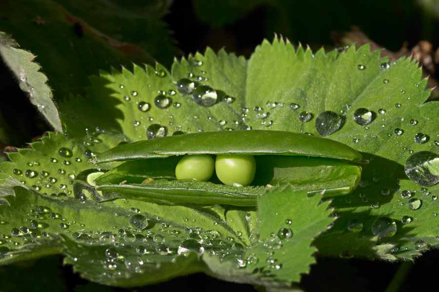 Photography by branie for DesignCrowd (Community Contests) | Design #9110112