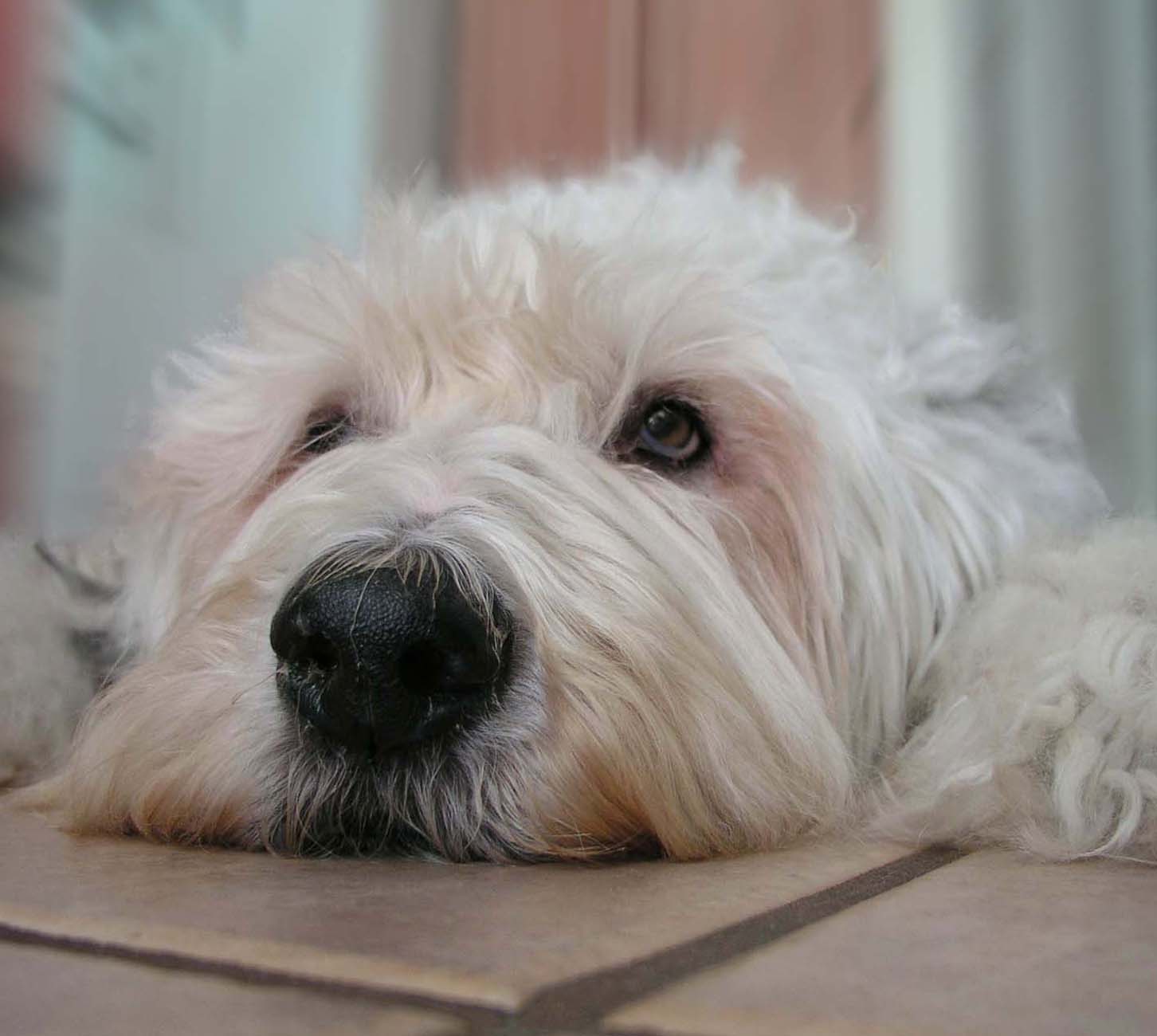 Photography by UPUPUP for DesignCrowd (Community Contests) | Design #9087287