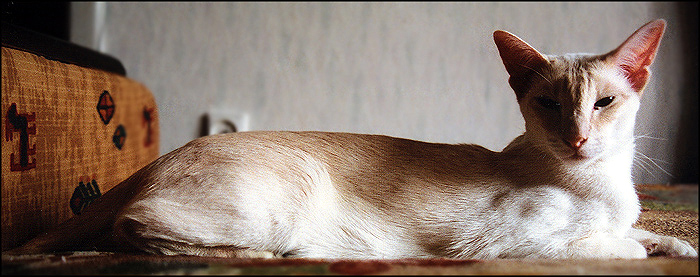 Photography by Jealousy for DesignCrowd (Community Contests) | Design #9087124