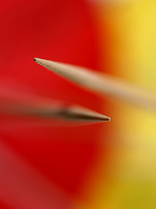 Fotografie von rwolosyn für DesignCrowd (Community Contests) | Design #9110103