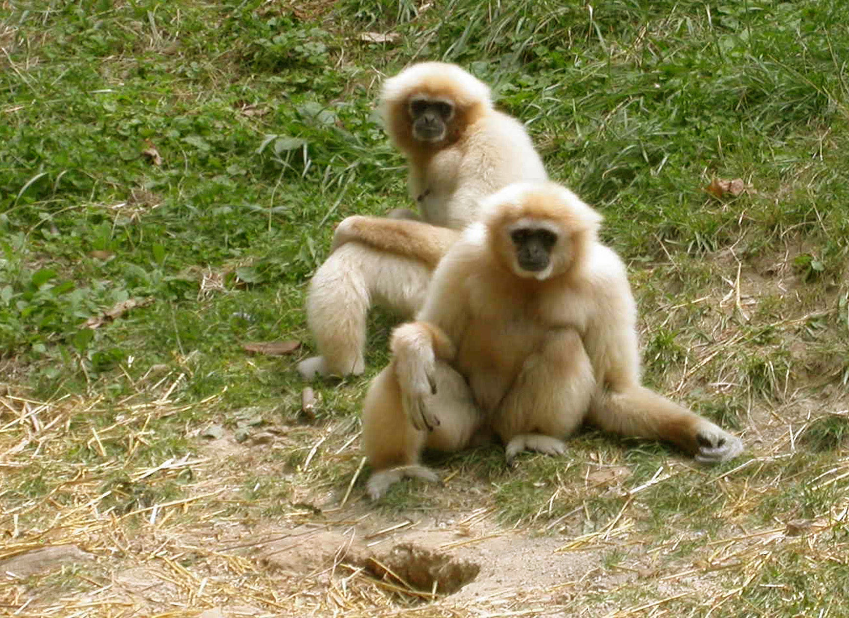 Photography by Crystal211 for DesignCrowd (Community Contests) | Design #9110170