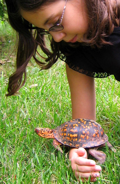 Photography by Netali for DesignCrowd (Community Contests) | Design #9087445