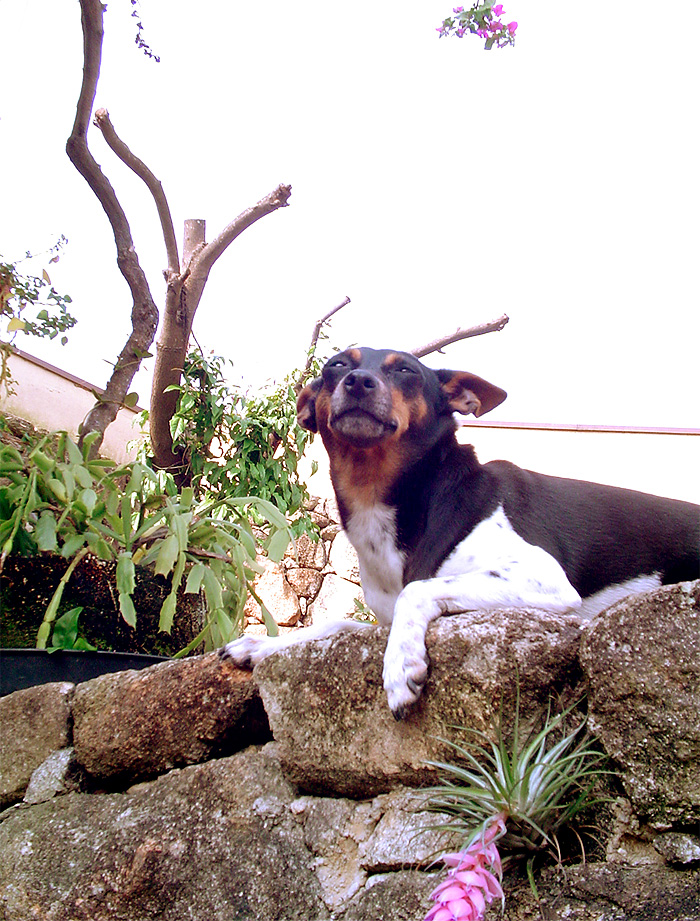 Fotografía por kzk666 para DesignCrowd (Community Contests) | Diseño #9087384