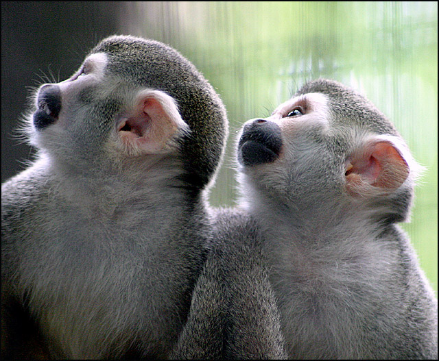 Photographie par paddyjoe pour DesignCrowd (Community Contests) | Design #9110171