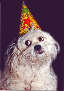 Fotografía por Images & Digital Design para DesignCrowd (Community Contests) | Diseño #9087498