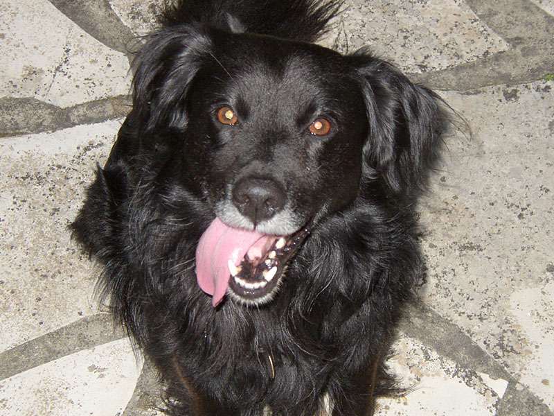 Photography by lafilledenhaut for DesignCrowd (Community Contests) | Design #9087397