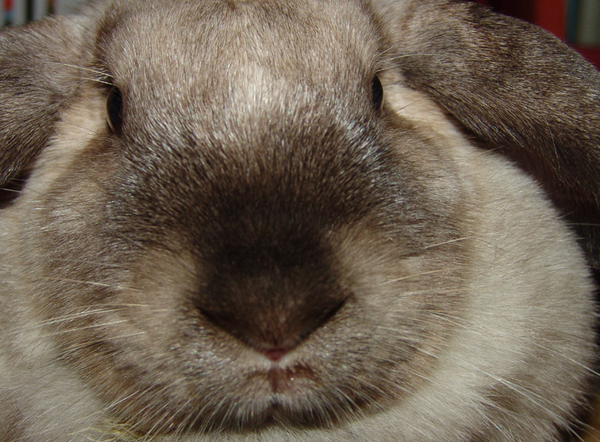 Fotografía por Dziedzic para DesignCrowd (Community Contests) | Diseño #9087481