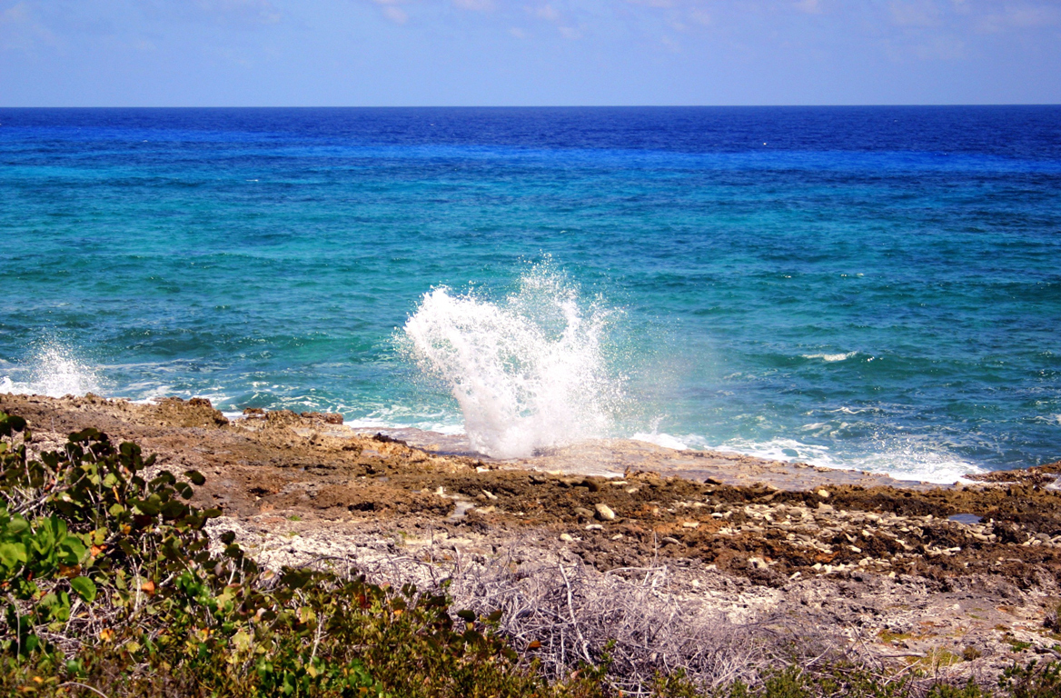 Photography by jiwasz for DesignCrowd (Community Contests) | Design #9115347