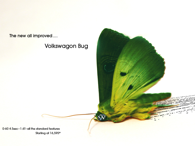 Diseño de Photoshop por TheAngeredPenguin para DesignCrowd (Community Contests) | Diseño #9108049