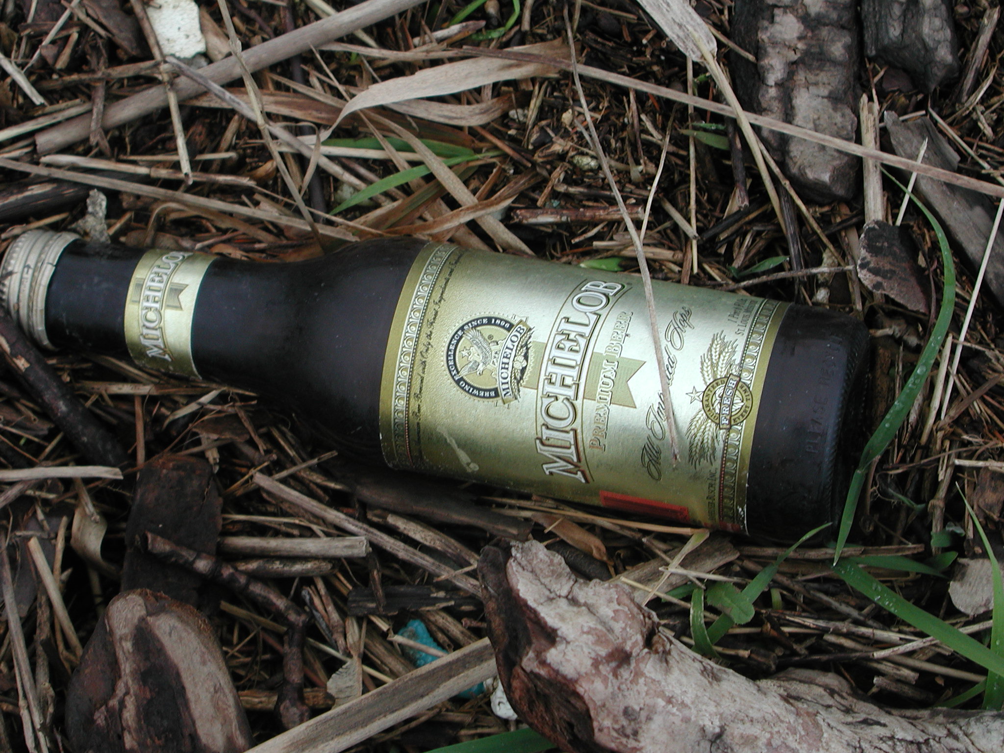 Photographie par anshulr pour DesignCrowd (Community Contests) | Design #9093751