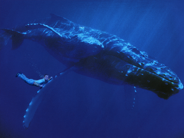 Design Photoshop par setsfire pour DesignCrowd (Community Contests) | Design #9107955