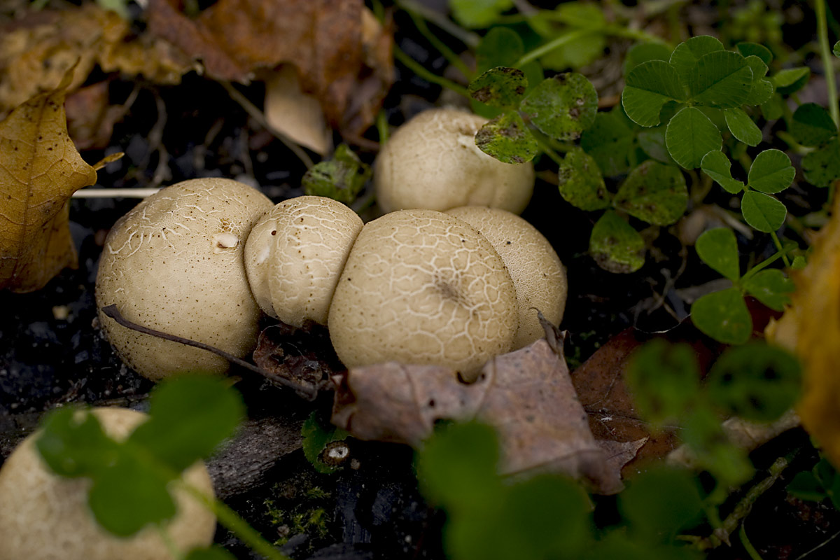 Fotografía por digiteyes para DesignCrowd (Community Contests) | Diseño #9108440