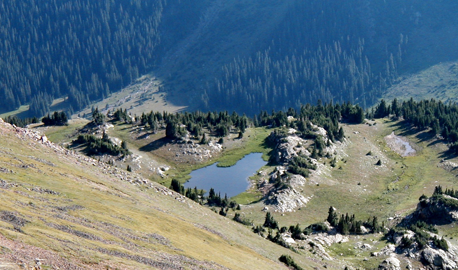 Fotografie von whitegold für DesignCrowd (Community Contests) | Design #9108469