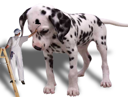 Photoshop Design by sofizz for DesignCrowd (Community Contests) | Design #9110105