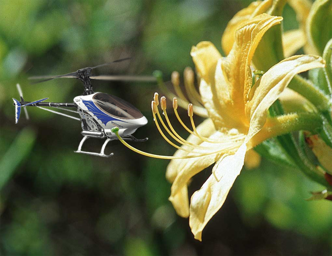 Photoshop Design by godzillatemple for DesignCrowd (Community Contests) | Design #9110119