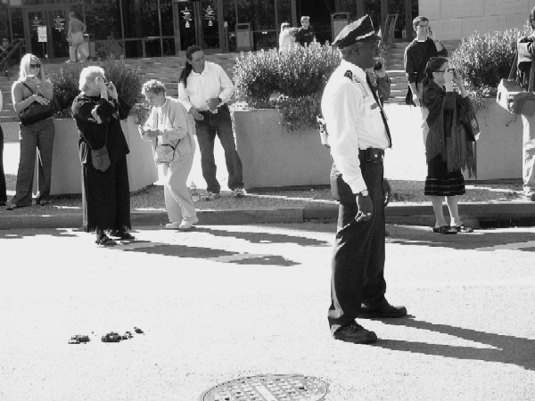 Fotografie von dawnwelsh für DesignCrowd (Community Contests) | Design #9109022