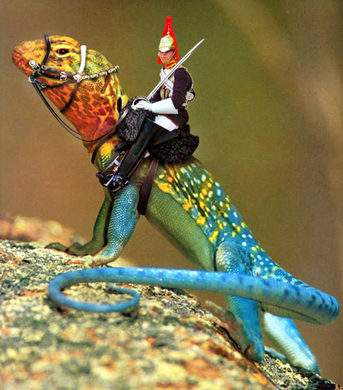 Photoshop-Design von MrArif für DesignCrowd (Community Contests) | Design #9110241