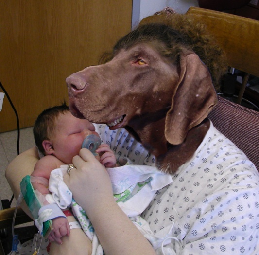 Design Photoshop par srekcus pour DesignCrowd (Community Contests) | Design #9086731