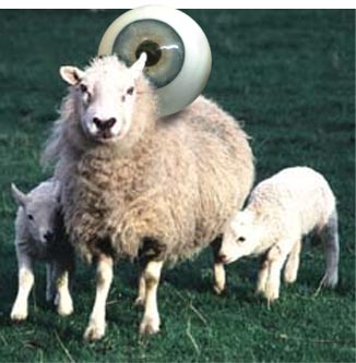 Diseño de Photoshop por Deborahb para DesignCrowd (Community Contests) | Diseño #9086745