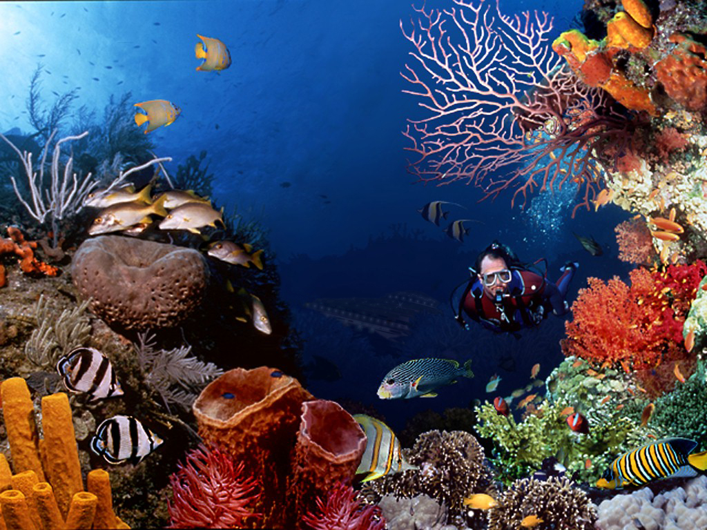 Photoshop Design by mobiuslogic for DesignCrowd (Community Contests) | Design #9083524