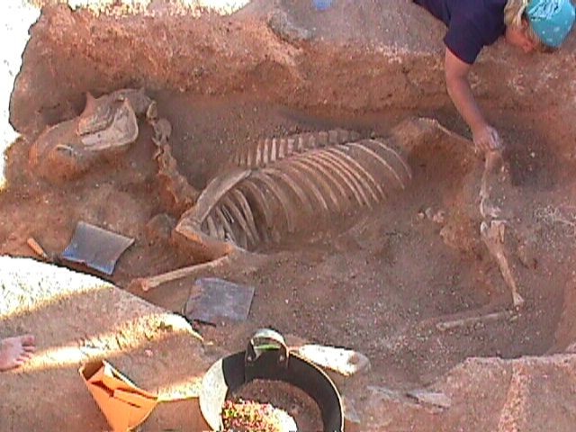 Photoshop Design by diegogualda for DesignCrowd (Community Contests) | Design #9083485