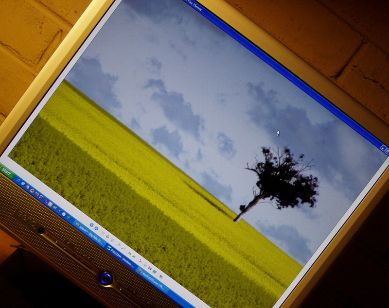 Photography by botts67 for DesignCrowd (Community Contests) | Design #9109081