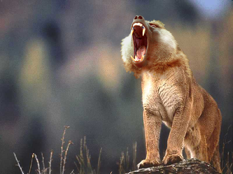 Diseño de Photoshop por Lasson para DesignCrowd (Community Contests) | Diseño #9111273