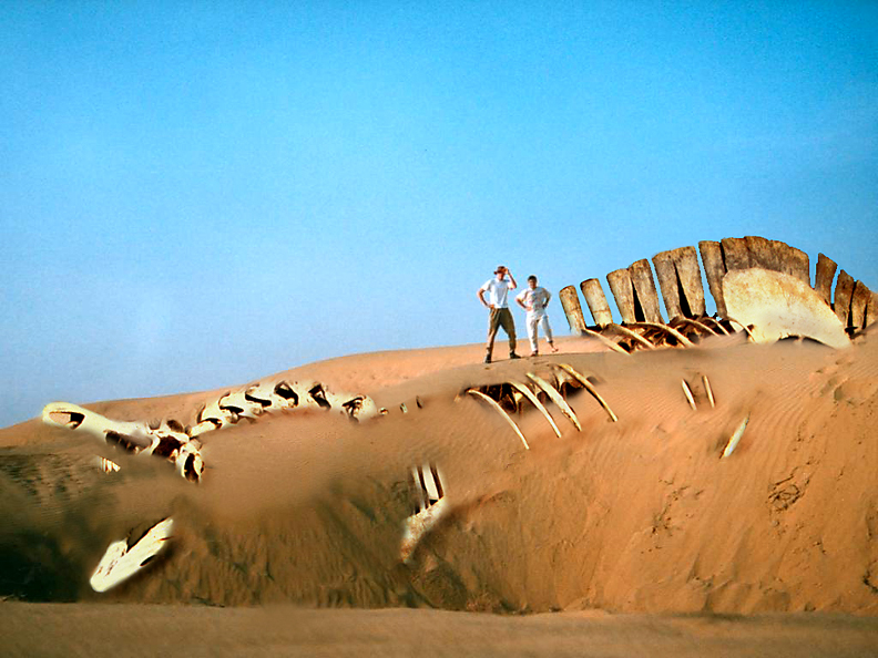 Photoshop Design by corwin1 for DesignCrowd (Community Contests) | Design #9083480