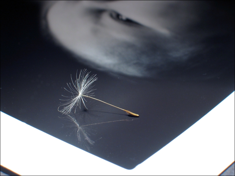 Photographie par Jondor pour DesignCrowd (Community Contests) | Design #9109053