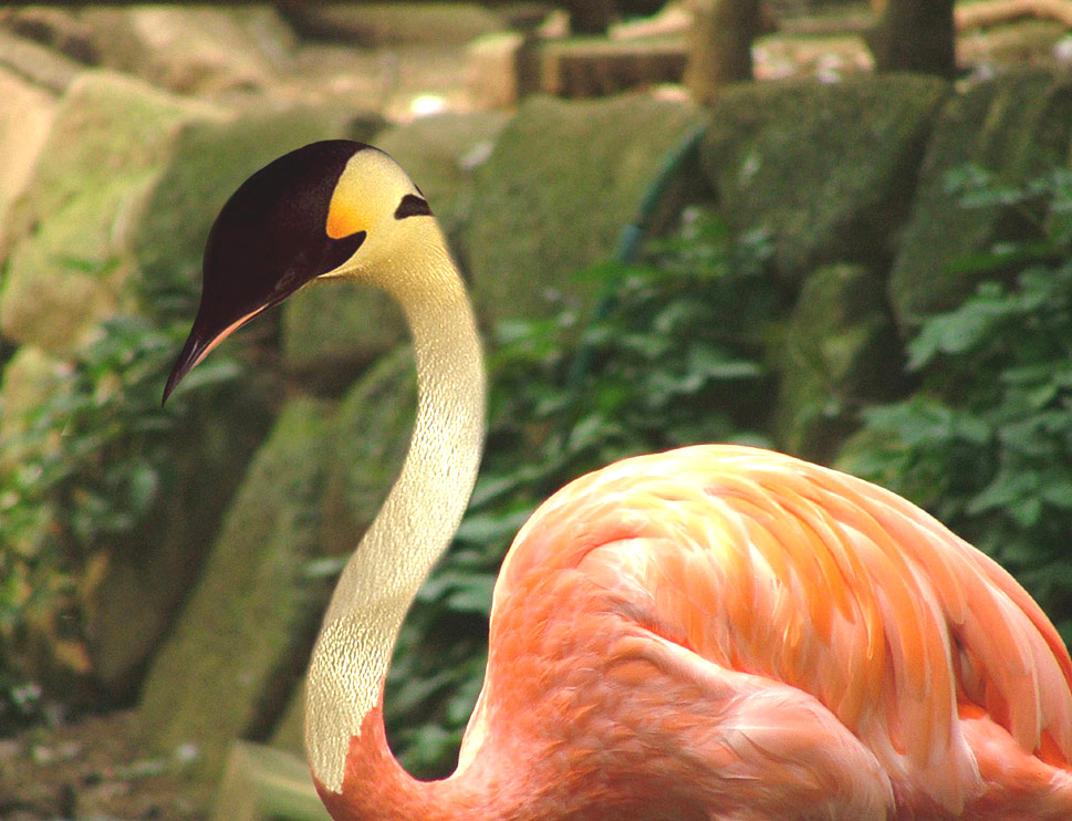 Photoshop Design by Logoinvision for DesignCrowd (Community Contests) | Design #9111366