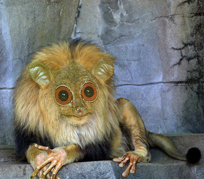 Photoshop-Design von Dziedzic für DesignCrowd (Community Contests) | Design #9111803