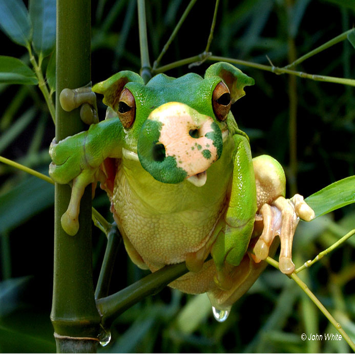 Photoshop Design by Odessa for DesignCrowd (Community Contests) | Design #9111699