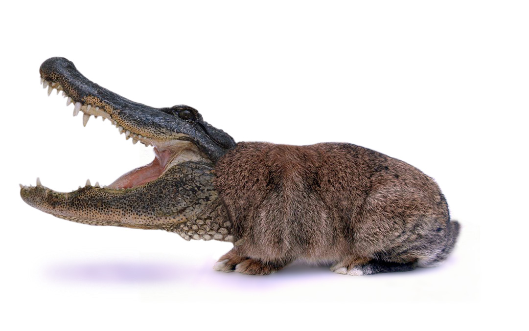 Design Photoshop par Pixelparty pour DesignCrowd (Community Contests) | Design #9111877