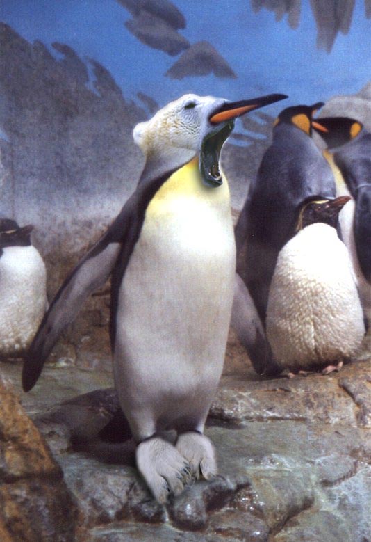 Diseño de Photoshop por Deborahb para DesignCrowd (Community Contests) | Diseño #9111821