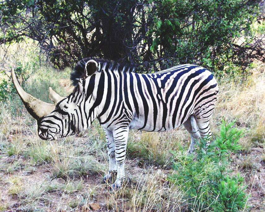 Photoshop-Design von RanLar für DesignCrowd (Community Contests) | Design #9111748