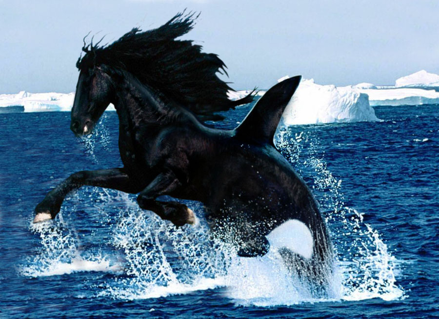 Diseño de Photoshop por Teardrop para DesignCrowd (Community Contests) | Diseño #9111882