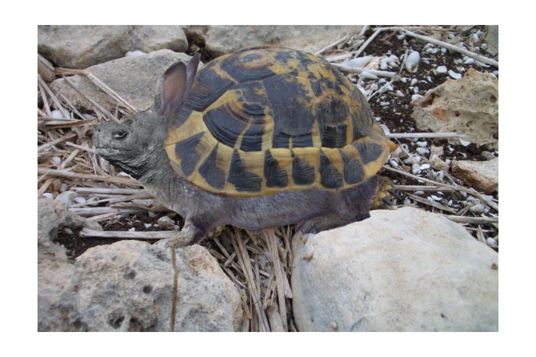 Photoshop Design by monkeywithnobrain for DesignCrowd (Community Contests) | Design #9111818