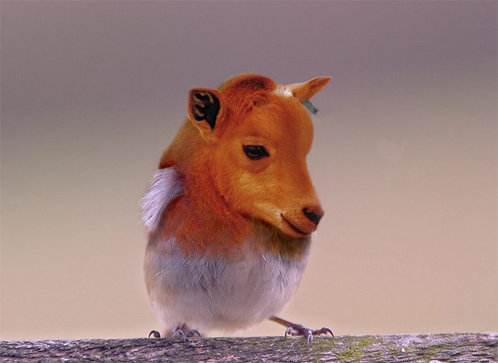 Photoshop Design by montevideo for DesignCrowd (Community Contests) | Design #9111783