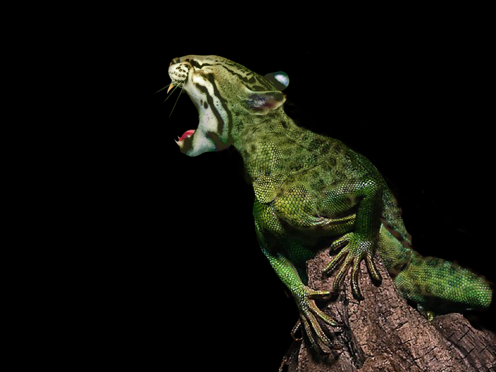 Photoshop Design by Mupshur for DesignCrowd (Community Contests) | Design #9111841