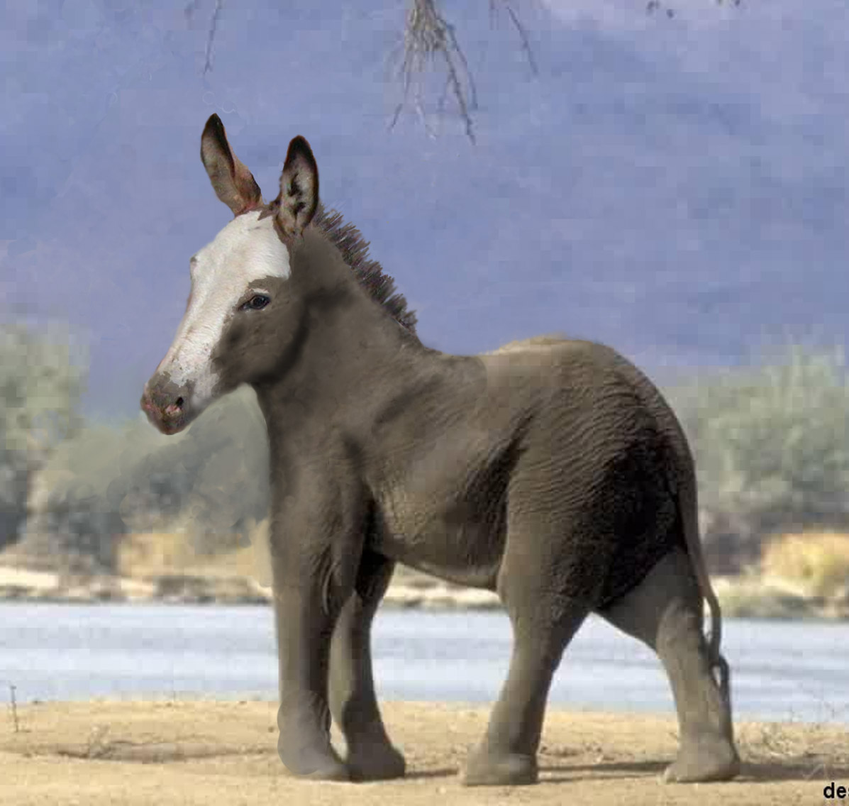 Photoshop Design by trixmix for DesignCrowd (Community Contests) | Design #9111713