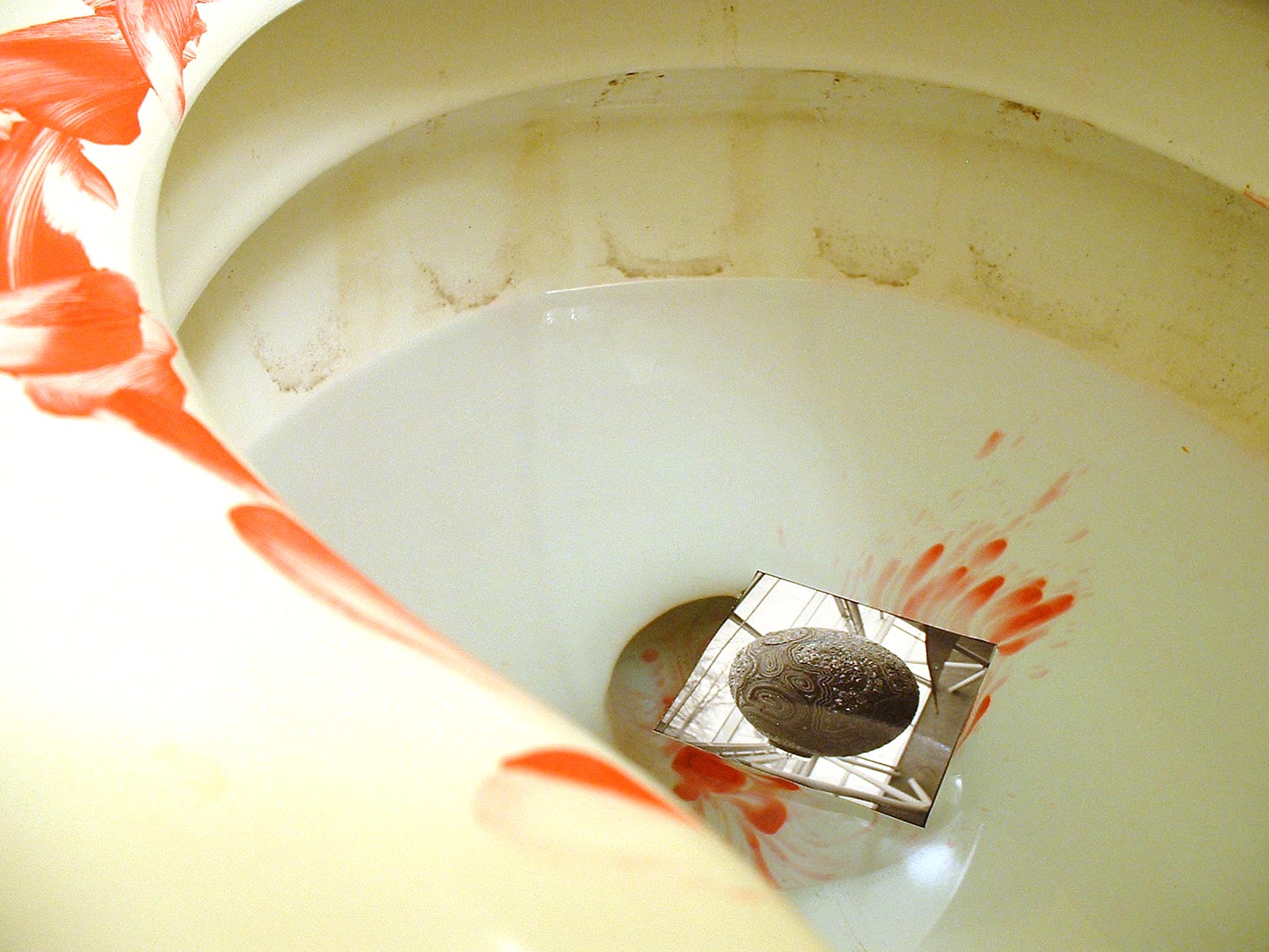 Photography by blurmore for DesignCrowd (Community Contests) | Design #9109093