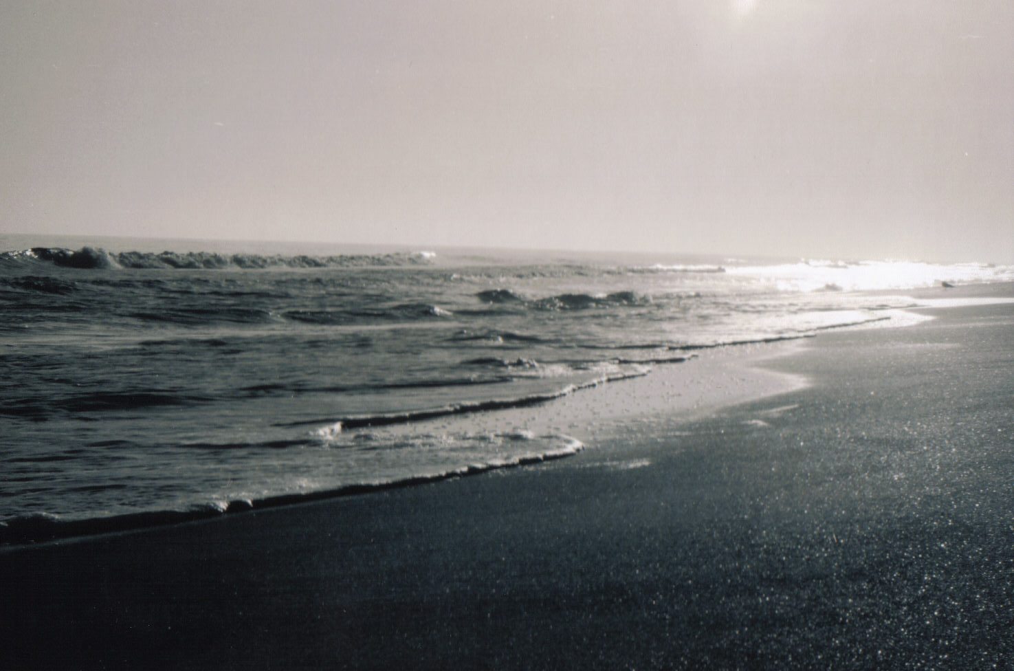 Photography by pittchick for DesignCrowd (Community Contests) | Design #9082529
