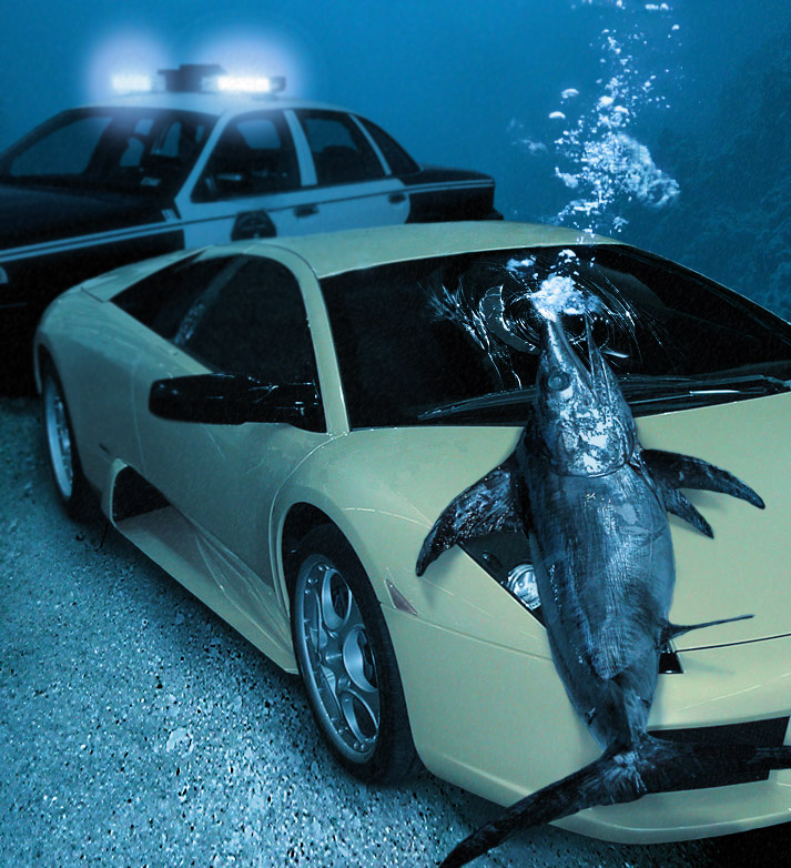 Photoshop Design by wiebeiw for DesignCrowd (Community Contests) | Design #9108596