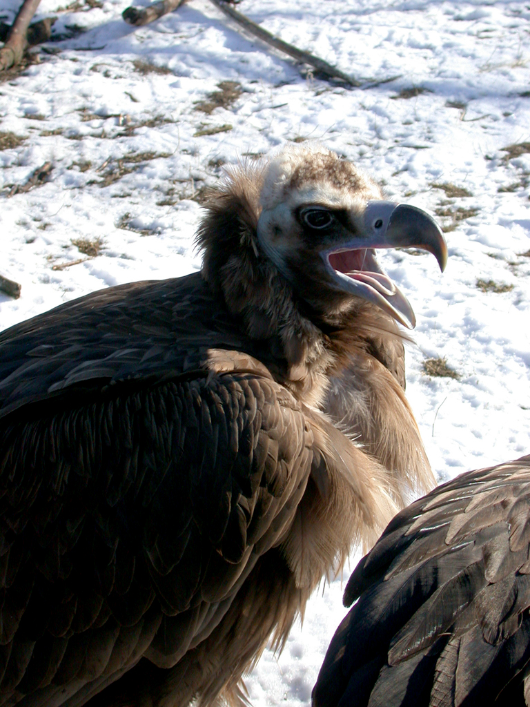 Photography by parkermaniac for DesignCrowd (Community Contests) | Design #9082587