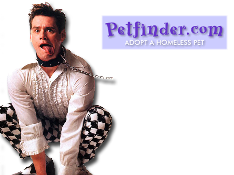 Diseño de Photoshop por Berzaneleven para DesignCrowd (Community Contests) | Diseño #9106979